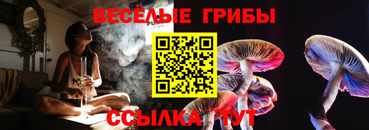 Вышний Волочёк  Псилоцибиновые грибы ЛСД  Вход с VPN 